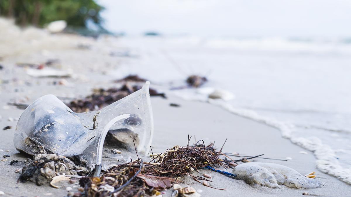 Imagen de contaminación marítima en una orilla