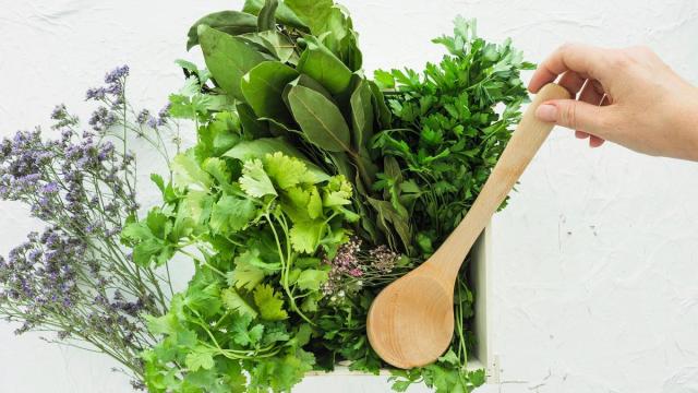 Las hierbas aromáticas están presente en todas las cocinas para dar un plus de aroma y sabor a cualquier receta.