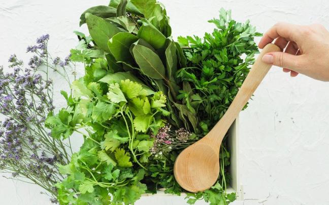 Las hierbas aromáticas están presente en todas las cocinas para dar un plus de aroma y sabor a cualquier receta.