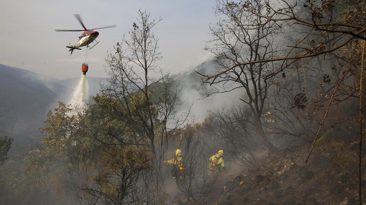 Varios bomberos forestales durante las labores de extinción del incendio de Llamas de Cabrera, en León.
