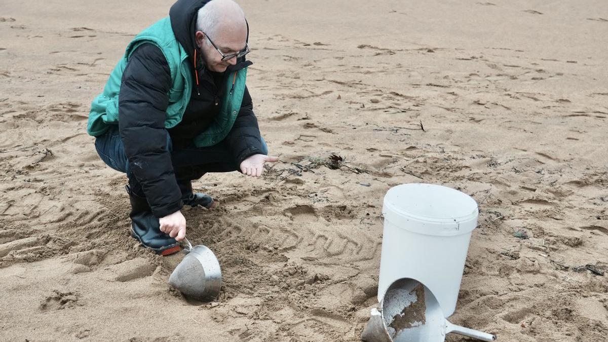 un voluntario busca pellets en la playa de La Arena.