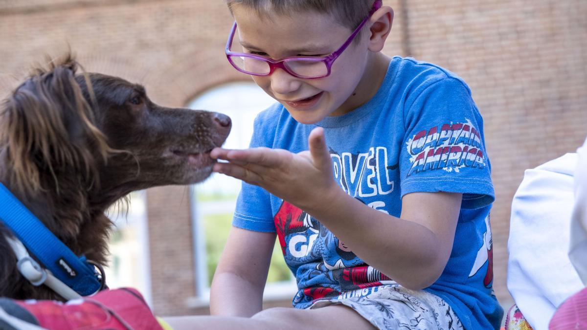 La terapia asistida con perros estimula a los pacientes en su rehabilitación.