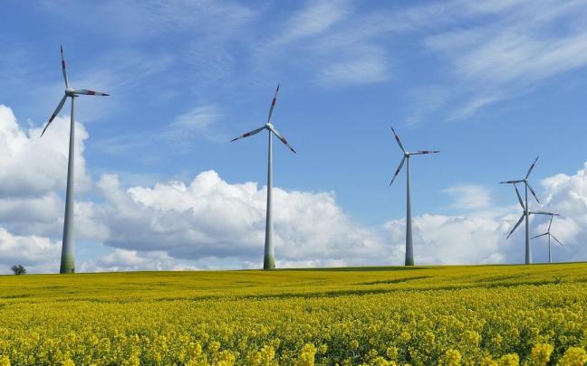 La eólica es una de las fuentes de energía renovable con más presencia en todos los países.