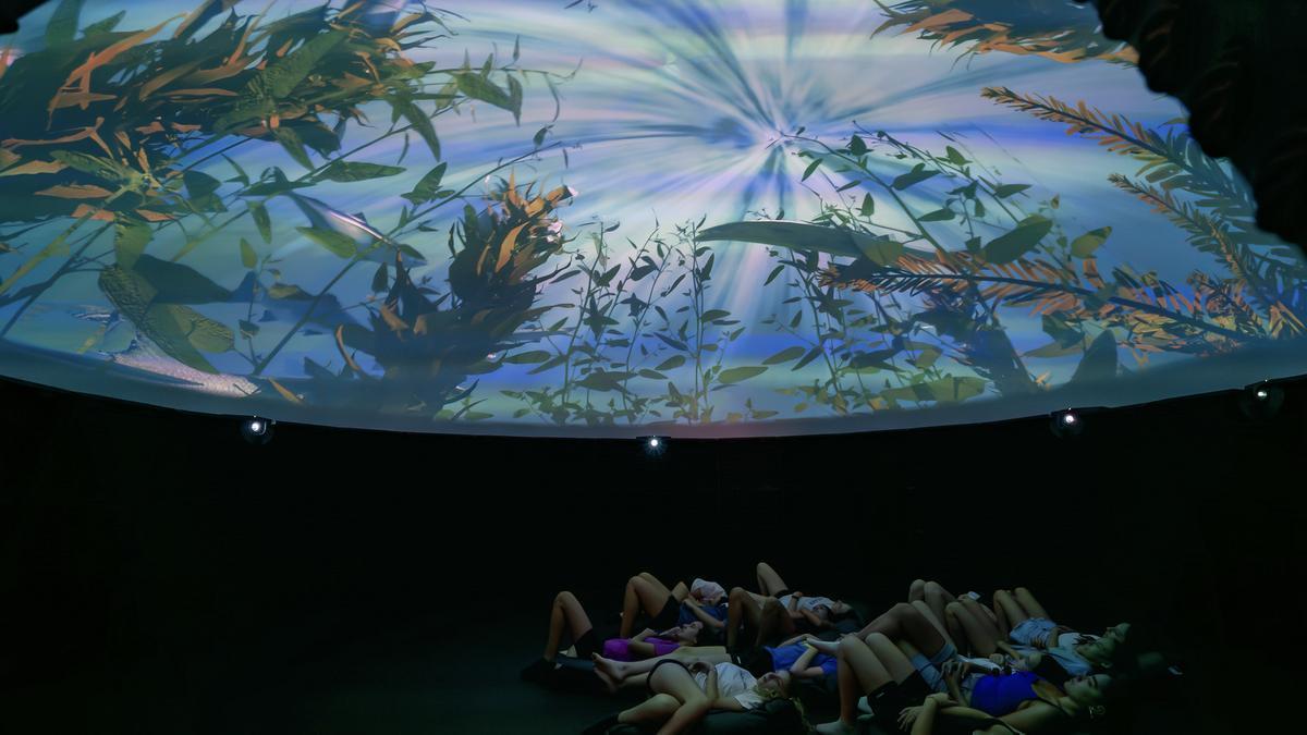 Las sesiones de cine forman parte de la programación estival del parque