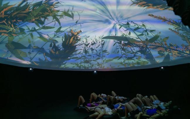 Las sesiones de cine forman parte de la programación estival del parque