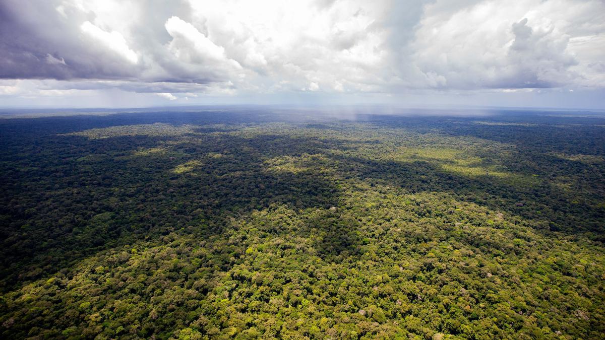 Un amplio dispositivo de búsqueda se desplegó en la selva colombiana para tratar de localizar a los menores.