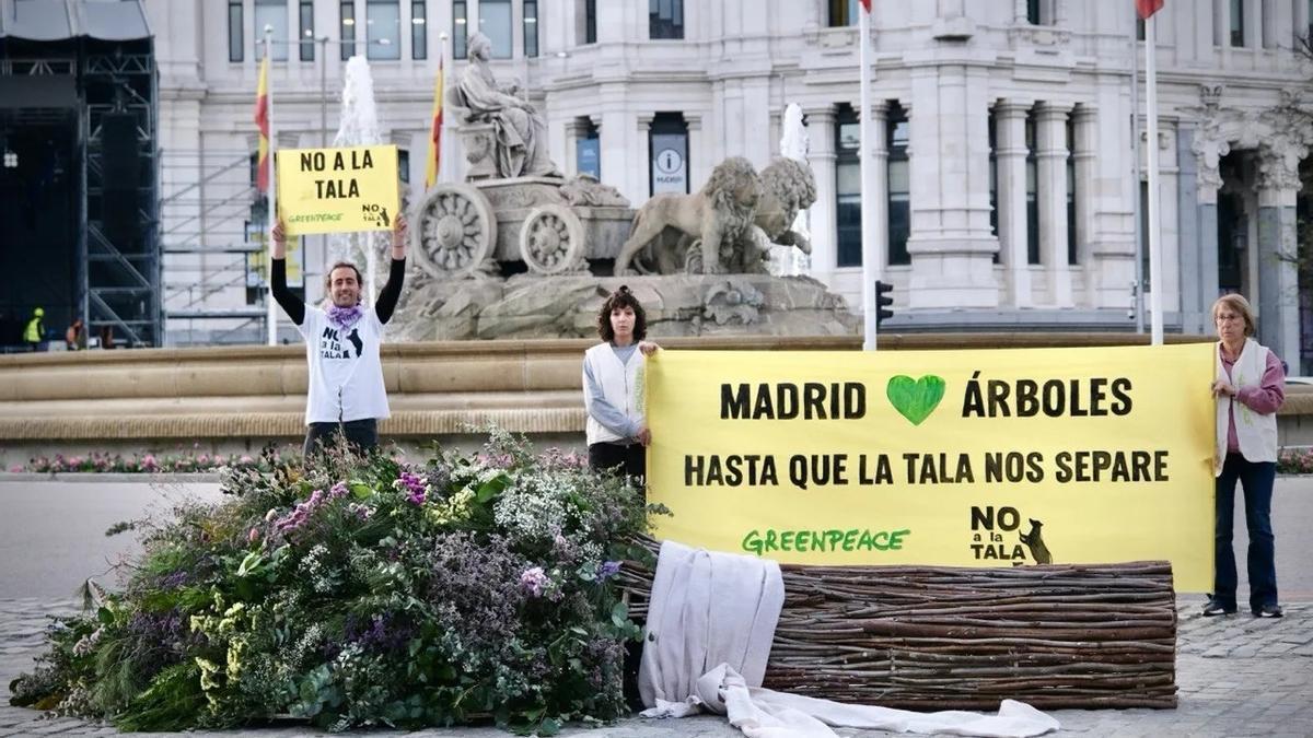 Greenpeace regala a Almeida un ramo de boda confeccionado con árboles talados en Madrid.