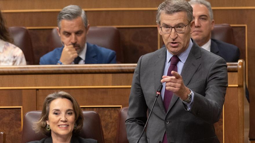 El presidente del PP, Alberto Núñez Feijóo, interviene durante una sesión de control al Gobierno.