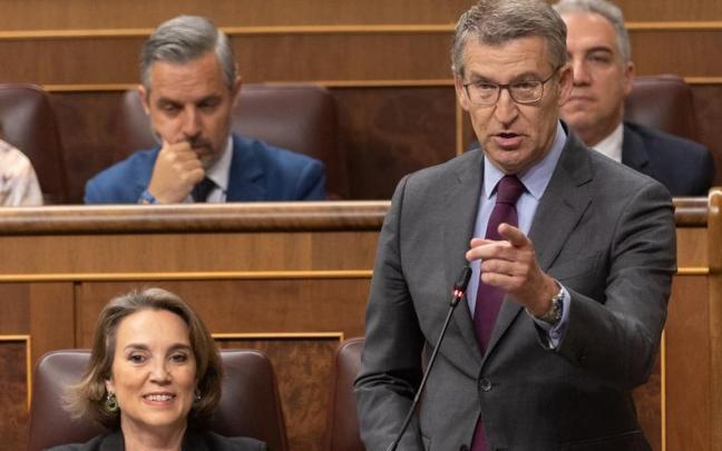 El presidente del PP, Alberto Núñez Feijóo, interviene durante una sesión de control al Gobierno.