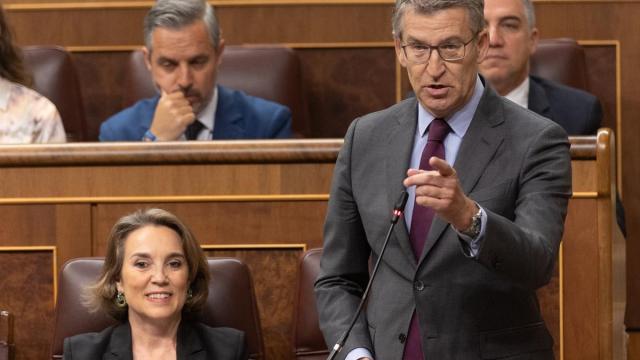 El presidente del PP, Alberto Núñez Feijóo, interviene durante una sesión de control al Gobierno.