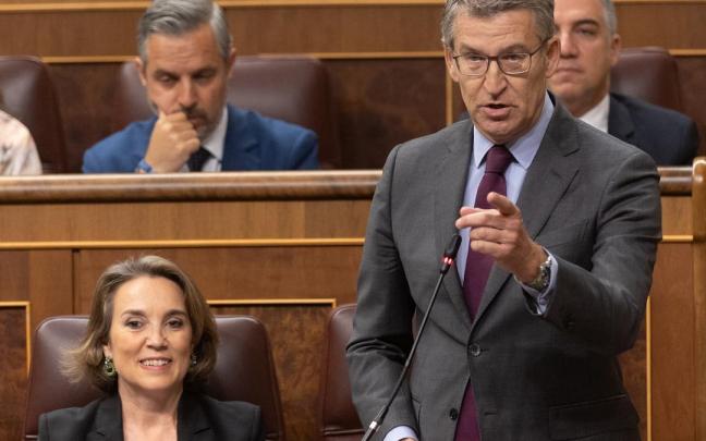 El presidente del PP, Alberto Núñez Feijóo, interviene durante una sesión de control al Gobierno.