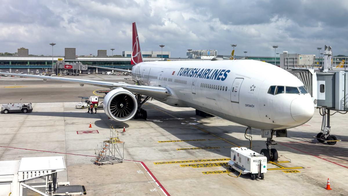 Avión de Turkish Airlines.