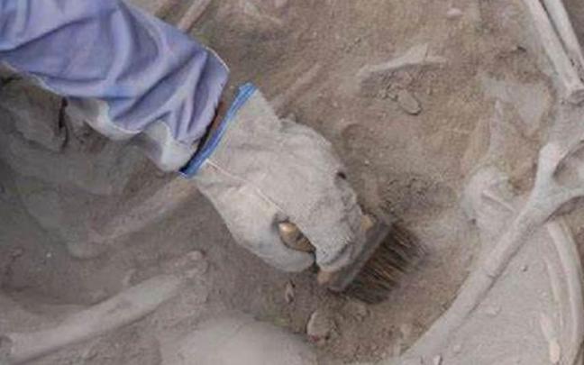 La arqueología y la paleontología se citan en Oñati. / N.G. La arqueología y la paleontología se citan en Oñati.