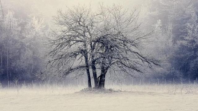 Gasteizko Ataria zentroak 'Irudizko Araba' argazki erakusketa ireki du.