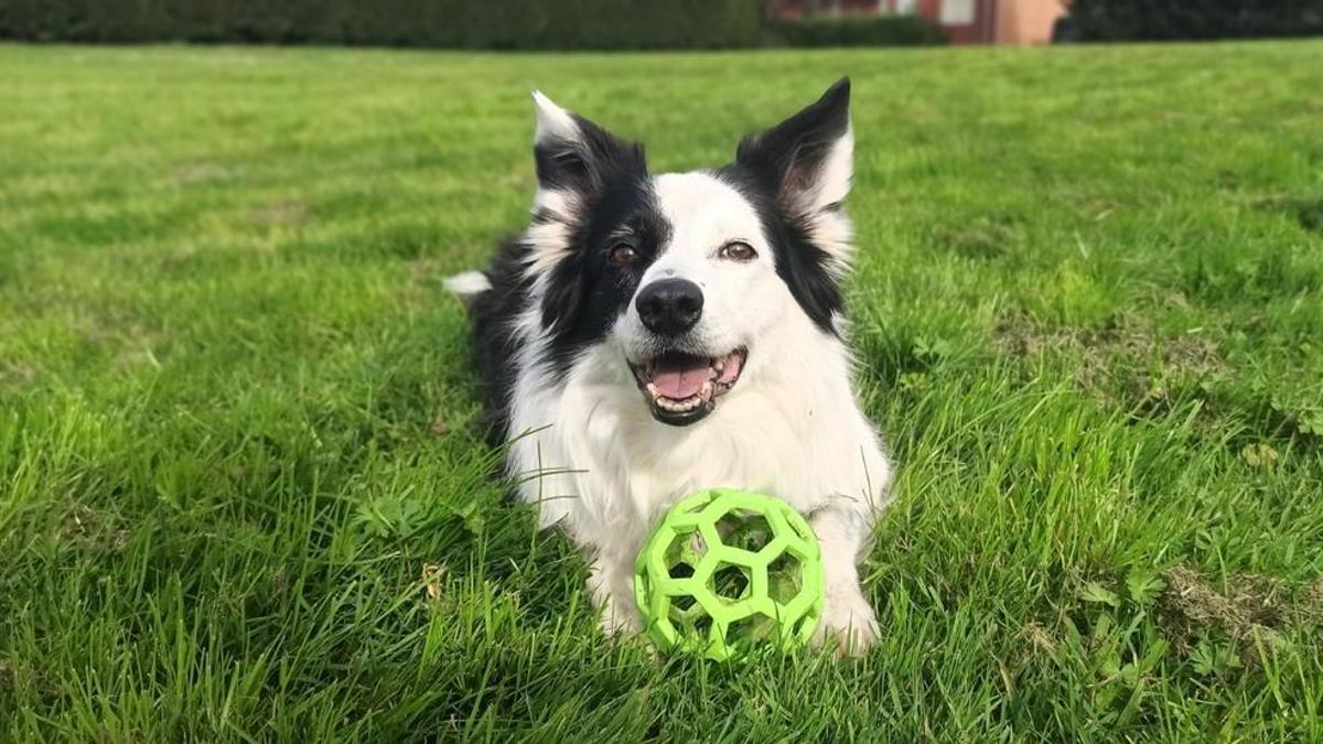 Nas, su primera compañera