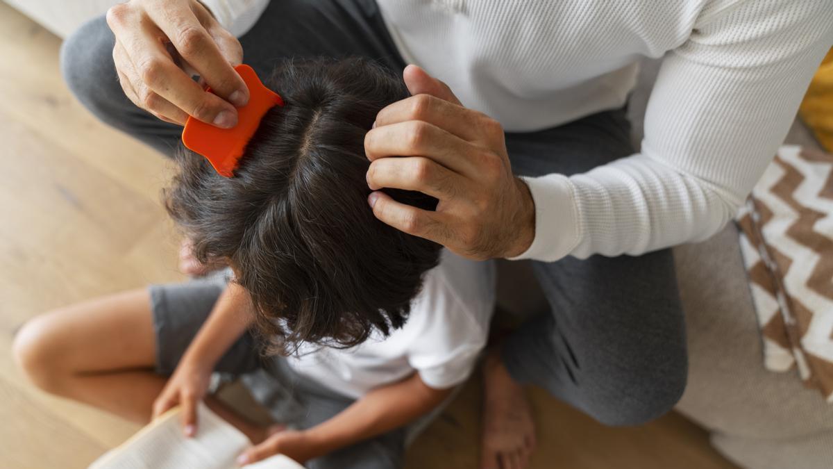 Padre pasa a su hijo un peine específico con punas muy juntas por el pelo para comprobar si tiene piojos.