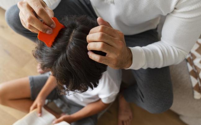 Padre pasa a su hijo un peine específico con punas muy juntas por el pelo para comprobar si tiene piojos.