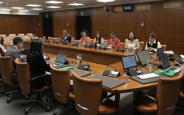 La enmienda ha sido aprobada este jueves por la Comisión de Asuntos Europeos y Acción Exterior