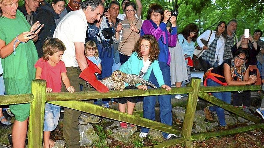 Iaz egindako beste hegazti-askatze bat. Argazkia: Picasa