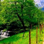 Tramo de la Vía Verde de Arrazola