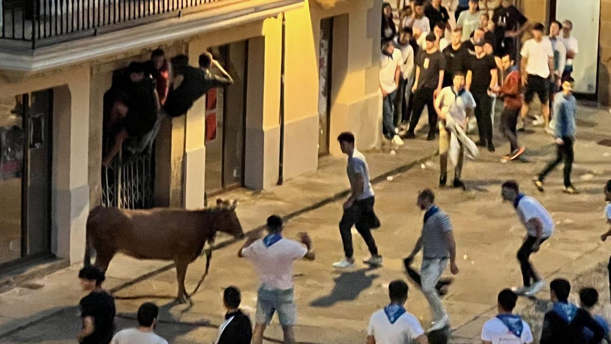 Se celebrarán cinco jornadas de las Zezenak Dira