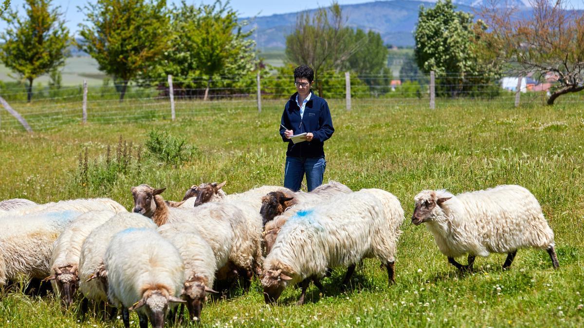 El proyecto combinará nuevas técnicas de diagnóstico con análisis "ómicos" que permiten analizar de forma conjunta miles de marcadores biológicos para detectar antes la infección.