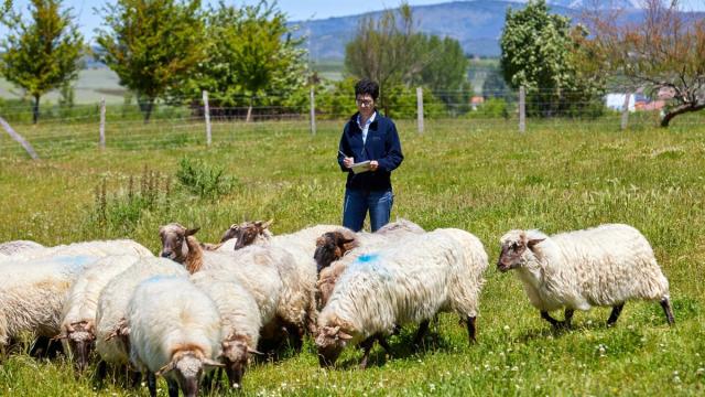El proyecto combinará nuevas técnicas de diagnóstico con análisis "ómicos" que permiten analizar de forma conjunta miles de marcadores biológicos para detectar antes la infección.