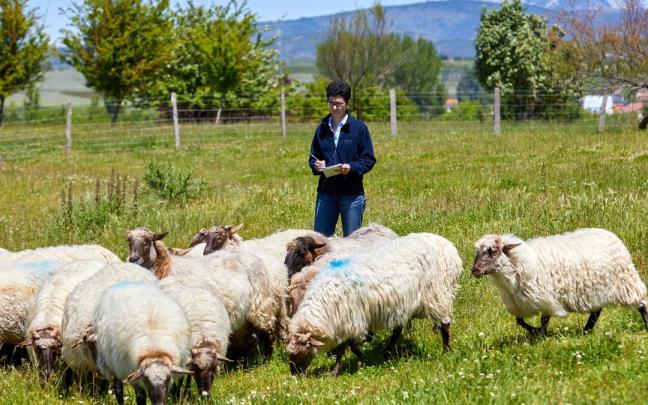 El proyecto combinará nuevas técnicas de diagnóstico con análisis "ómicos" que permiten analizar de forma conjunta miles de marcadores biológicos para detectar antes la infección.