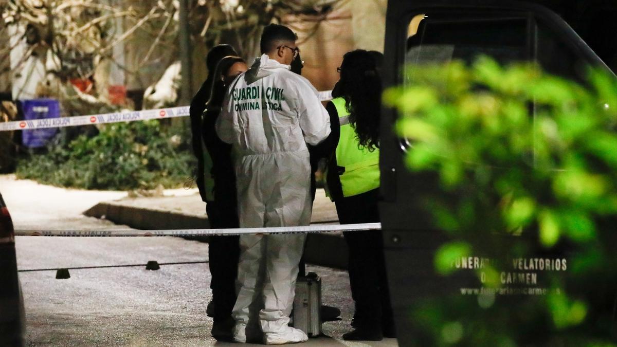 Imagen de recurso: varios agentes de la Guardia Civil.