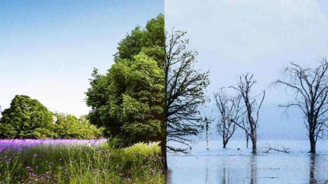 Devastadoras consecuencias del cambio climático.