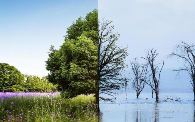 Devastadoras consecuencias del cambio climático.