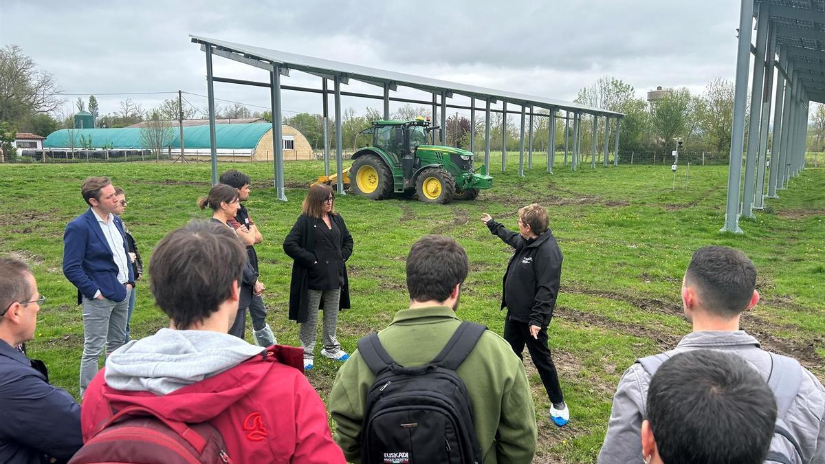 Instalazio berritzaile batek nekazaritza ekoizpena eta eguzki energia sortzea bateragarriak diren aztertuko du Arkautin.
