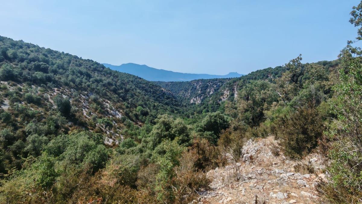 Vistas al barranco de Berrabia / Gonzalo Pérez Zunzunegui