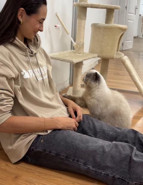 El proyecto difunde información clara y accesible sobre el cuidado responsable de las mascotas.