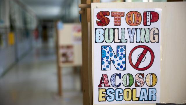 El Gobierno Vasco dispone de protocolos específicos sobre acoso para la atención de diversas necesidades.