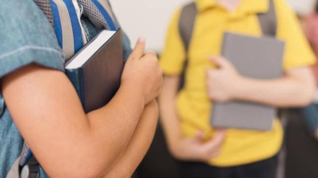 Niños, sosteniendo sus libros en el colegio.