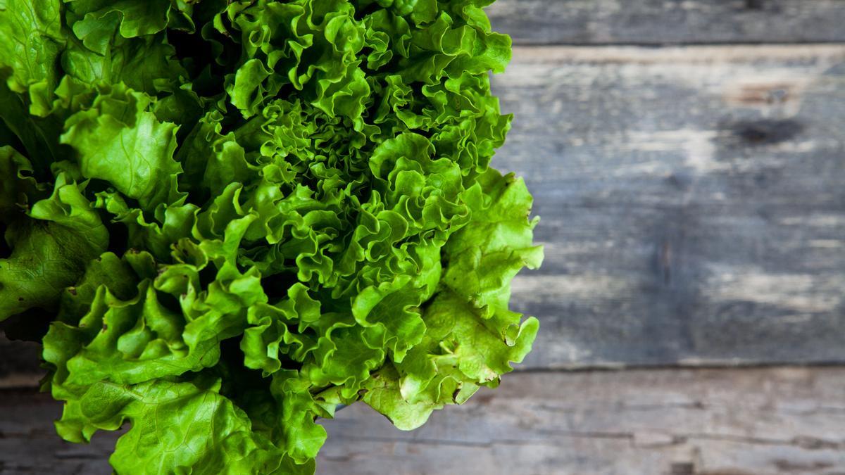 Lechuga.