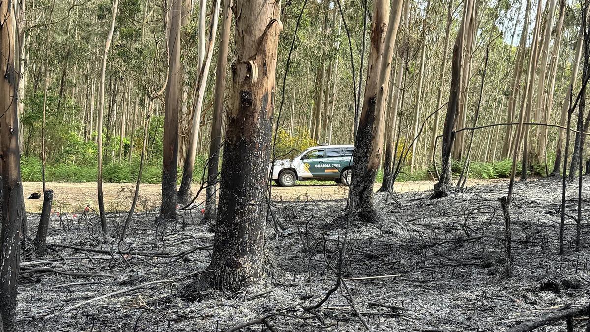 Un vehículo de la Guardia Civil en un área calcinada por un incendio en A Coruña.