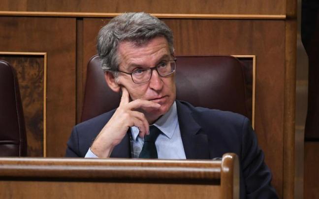 El líder del PP, Alberto Núñez Feijóo, durante una sesión plenaria en el Congreso de los Diputados. / EP El líder del PP, Alberto Núñez Feijóo, durante una sesión plenaria en el Congreso de los Diputados.