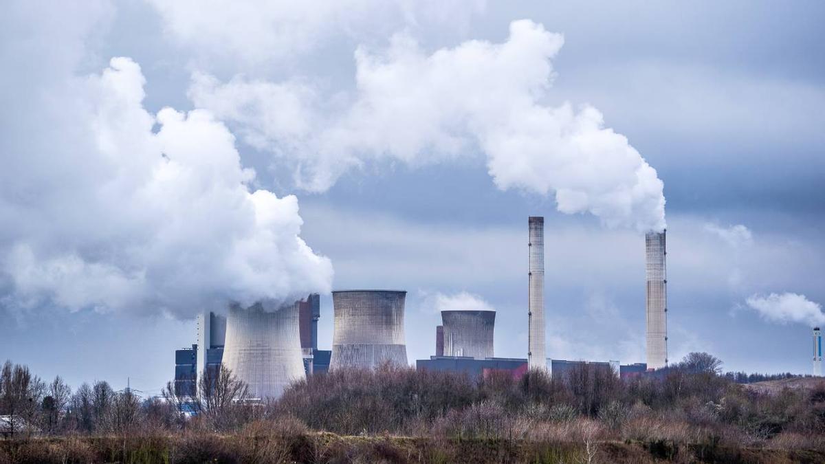 El efecto de la contaminación en la salud