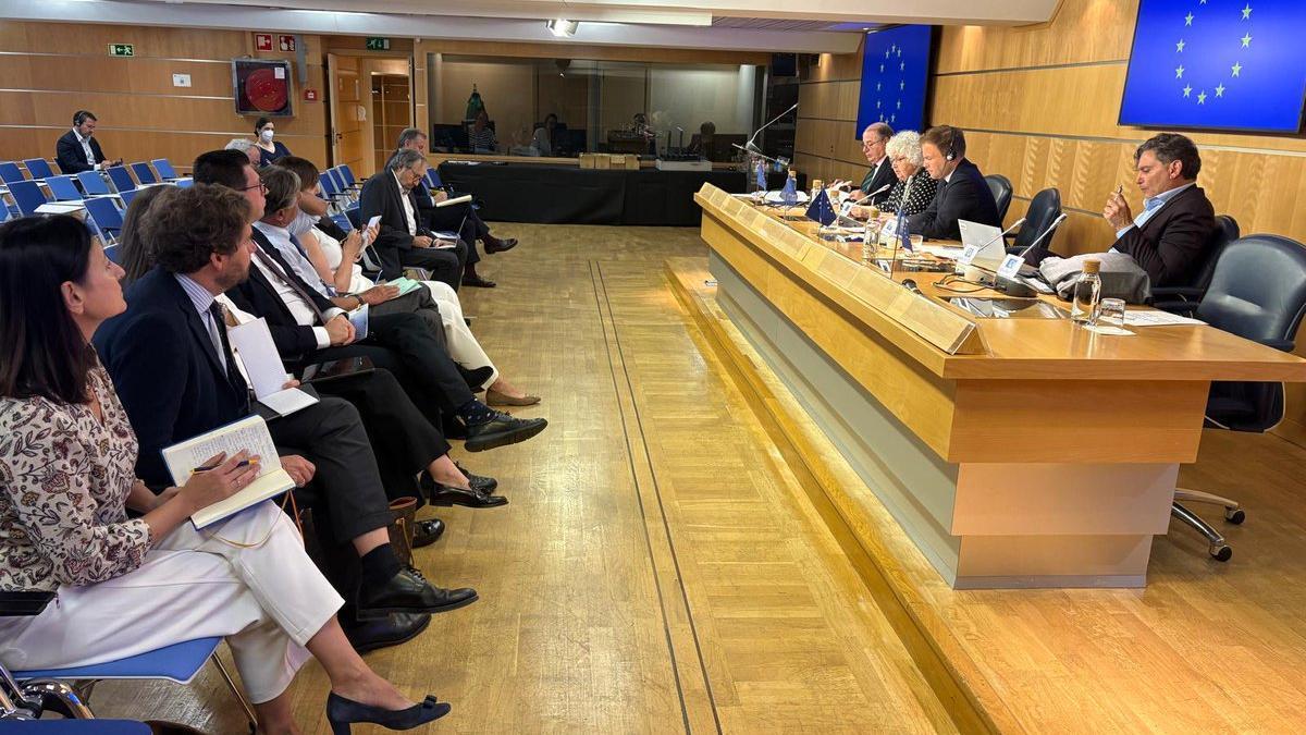 La delegación de europarlamentarios que ha visitado el Estado español