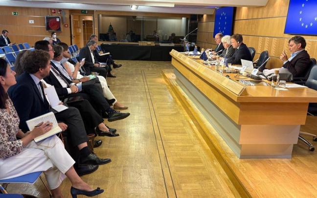 La delegación de europarlamentarios que ha visitado el Estado español / Parlamento europeo La delegación de europarlamentarios que ha visitado el Estado español