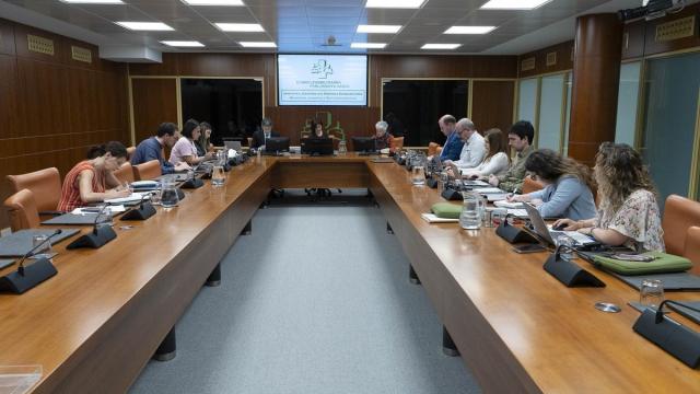 Elena Ayarza ha comparecido ante la Comisión de Juventud