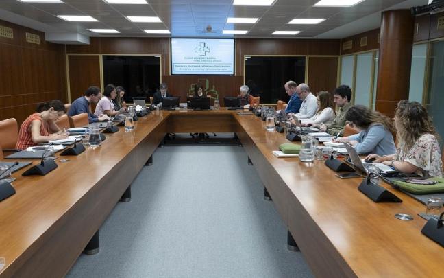 Elena Ayarza ha comparecido ante la Comisión de Juventud