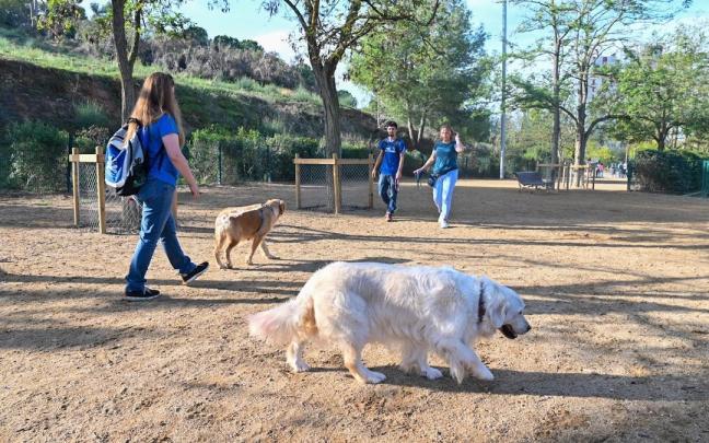 Área reservada para perros en un parque.