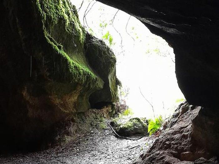 Cueva de los champiñones