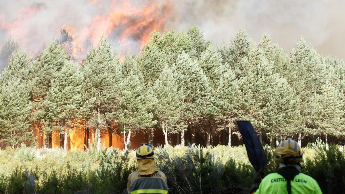 Dos brigadistas observan un incendio en la zona limítrofe entre Ourense y Zamora.