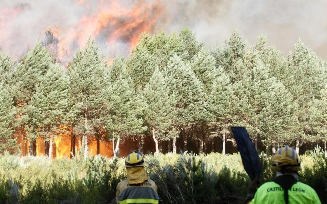 Dos brigadistas observan un incendio en la zona limítrofe entre Ourense y Zamora.