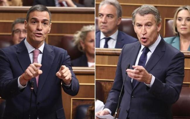 Pedro Sánchez y Alberto Núñez Feijóo, en el Congreso.