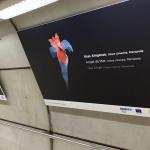 La muestra forma parte del trabajo del centro tecnológico marítimo alimentario vasco AZTI en el marco del proyecto Summer, financiado por la Unión Europea.